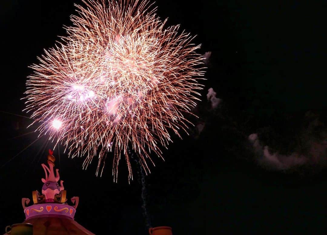 小林愛香さんのインスタグラム写真 - (小林愛香Instagram)「花火をはじめてこんなに 綺麗に撮れたよ。 さすが #Leica すごい。 #disneyland #tokyodisneyland」1月31日 1時11分 - kyanstagram_