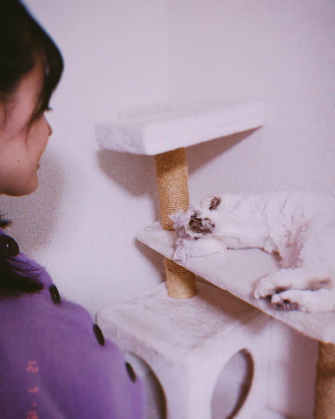 久住小春さんのインスタグラム写真 - (久住小春Instagram)「たぬき🦦 🦦 🦦 #猫のいる暮らし」1月31日 12時09分 - koharu_kusumi.official
