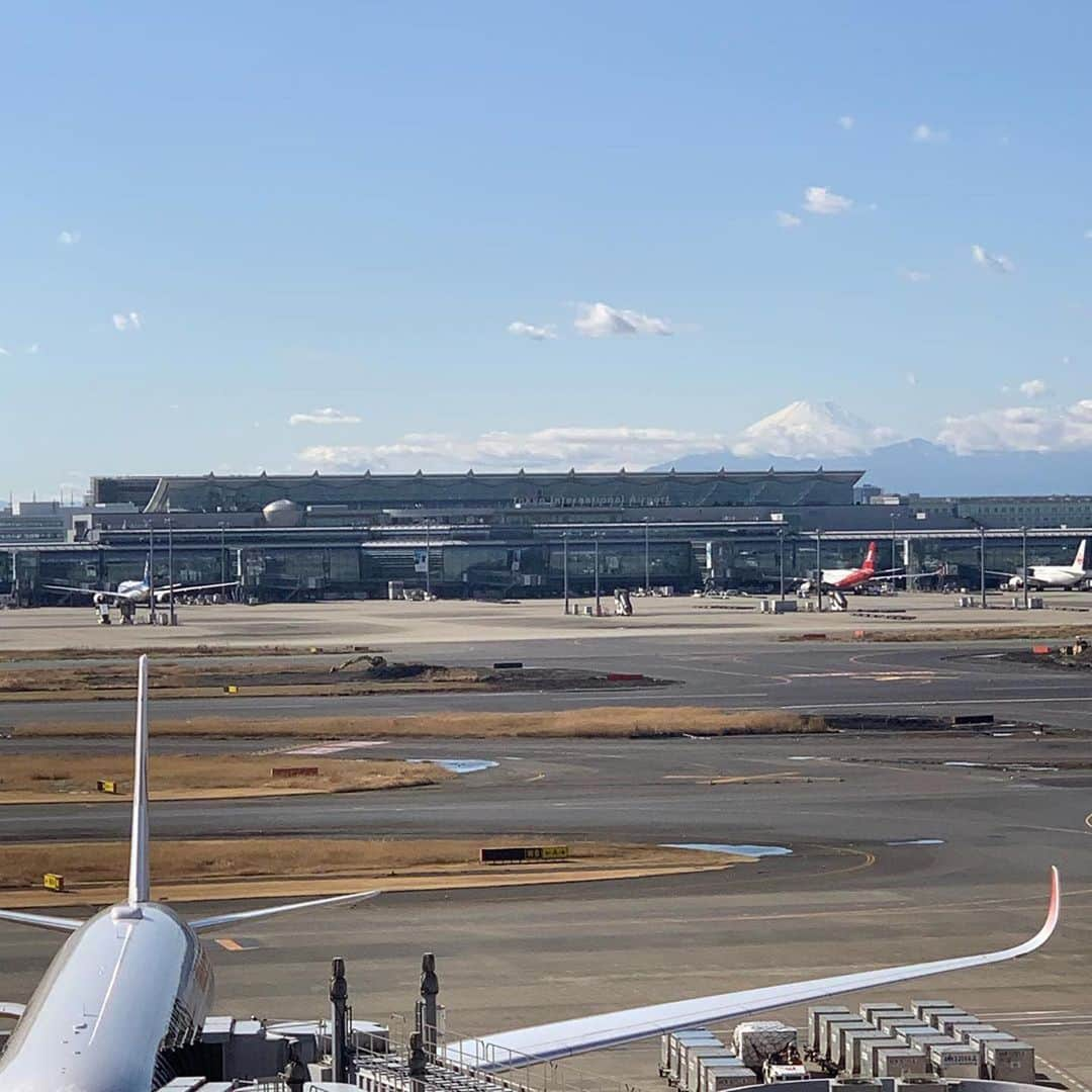 LDH kitchenさんのインスタグラム写真 - (LDH kitchenInstagram)「. @thetokyohaneda_official ・・・ 国際線の奥に見える富士山🗻 ・ ✨空気の澄んでる✨この時期には 天気が良いと見えます👀‼️ ・ ・ 夕陽に映える富士山も綺麗ですが 日中に見える富士山はとても綺麗✨です👍 ・ ・ ・ 本日は夕方からのLIVE準備の為 15:00〜18:00まで 一旦閉店とさせていただきます ・ ・ ・ #LiveandRestaurant #羽田空港 #羽田空港グルメ #LDH kitchen #AMAZINGCOFFEE #HANEDAHOUSE  @thetokyohaneda_official @amazing_coffee_official  ______________________________________________ ■Live & Restaurant LDH kitchen THE TOKYO HANEDA■ 東京都区羽田空港3-3-2  第1旅客ターミナル 5F THE HANEDA HOUSE ☎︎03-5579-7461  営業時間 10:00〜22:00(LO/21:00)  定休日 年中無休 www.ldhkitchen-thetokyohaneda.jp」1月31日 11時06分 - ldhkitchen_official