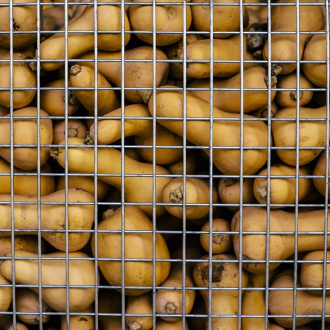 ellecafejapanのグルメインスタ