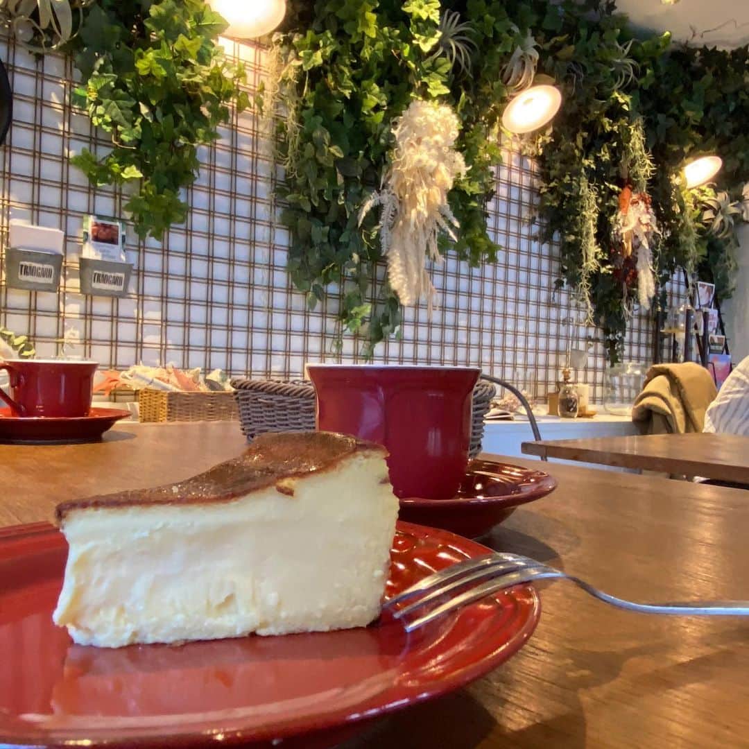 Rubyさんのインスタグラム写真 - (RubyInstagram)「🐶💬 cheese cake 🧀 🍰 😋  バスクチーズケーキと美味しいコーヒーをいただきました。バスクチーズケーキの流行を作った某所のより私はこちらのが好きでした。あとあと、コーヒーが美味しい！また行きたい。今度はカレーも食べたいな。美味しそうなドリンクメニューもたーくさんあって素敵な空間でした。 くうちゃん、一緒にありがとう。  #yorkie #yorkshireterrier #ヨーキー #ヨークシャテリア #赤坂 #rubyとカフェとわたし」1月31日 11時59分 - ruby_the_yorkie
