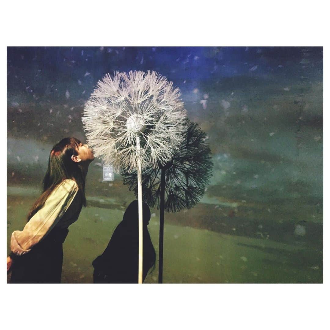 大塚愛さんのインスタグラム写真 - (大塚愛Instagram)「私はなかなか綿毛が飛ばなくて、 たくさん吹いたけど、 他の人はみんなすぐ飛んでいた。 ピュアな人じゃないと飛ばないんじゃないかって心配した。  AIO　#flowersbynaked  #digitalart  #flower #たんぽぽ」1月31日 12時00分 - aiotsuka_official