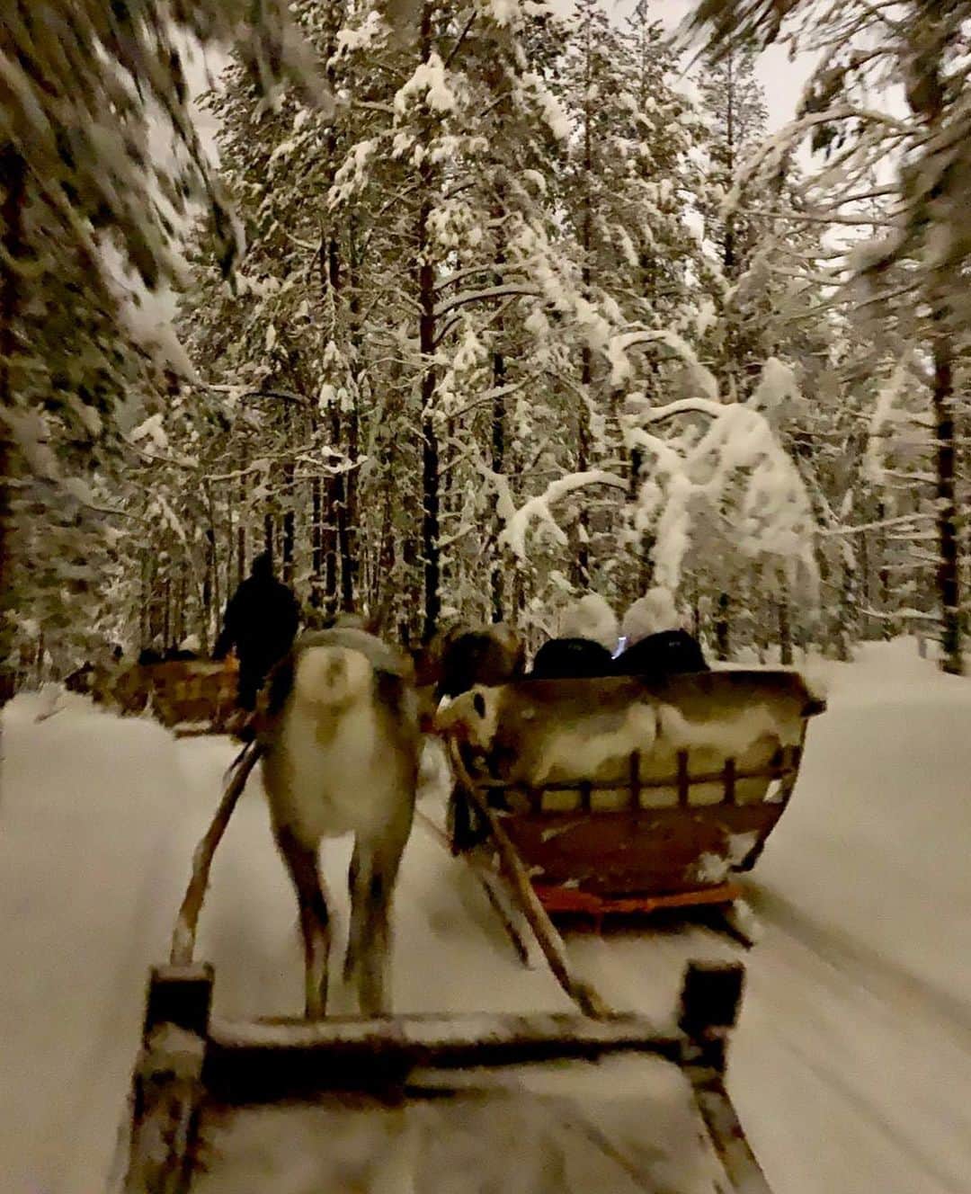 ナタリー・ペシャラさんのインスタグラム写真 - (ナタリー・ペシャラInstagram)「Bien arrivées en Laponie !  Yé-Team 👯‍♀️ #kiff #cerclepolaire -22*C」1月31日 5時24分 - nathaliepechalat
