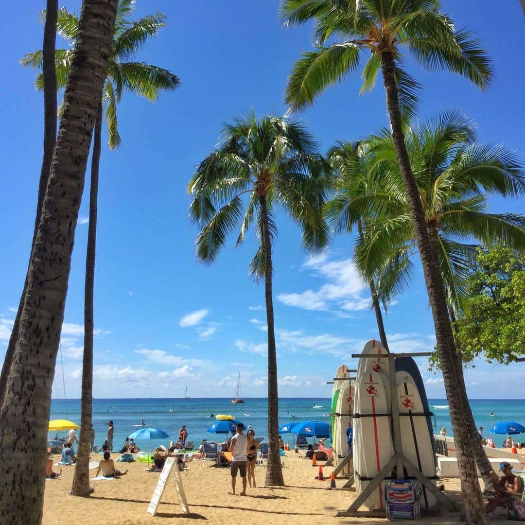 Belle Vie Hawaiiさんのインスタグラム写真 - (Belle Vie HawaiiInstagram)「ワイキキはビーチ日和🏖﻿ 今日の予想最高気温は29°Cで﻿ 雨の心配は無さそうです😃﻿ ﻿ ﻿ ﻿ ﻿ ﻿ #belleviehawaii #hawaii﻿ #waikiki #waikikibeach﻿ #aloha #honolulu﻿ #beachday #surfboards﻿ #oahuhawaii #oahulife﻿ #hawaiilife #honoluluhawaii﻿ #ハワイ #ベルヴィー﻿ #ハワイ旅行 #ハワイ好き﻿ #ハワイ大好き #アロハ﻿ #ビーチフォト #サーフボード﻿ #ハワイ土産 #ハワイ行きたい﻿ #ハワイのお土産 #ハワイアン﻿ #ワイキキ #ワイキキビーチ﻿ #ホノルル #ハワイ生活﻿ #ハワイ好きな人と繋がりたい」1月31日 6時56分 - belleviehawaii