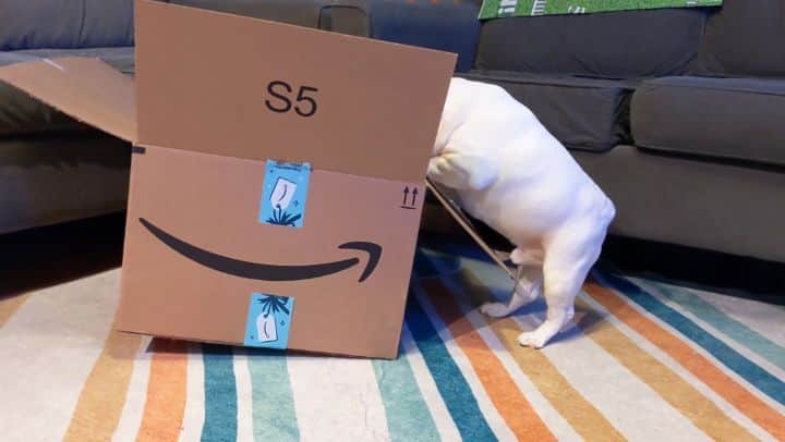 Manny The Frenchieのインスタグラム：「Got all my stuff for Sunday's big game today thanks to in-garage delivery. Hey, @jlo and @shakira, so excited for your #HalftimeShow! 🤩🏈. .  #myQConnected #ingaragedelivery」