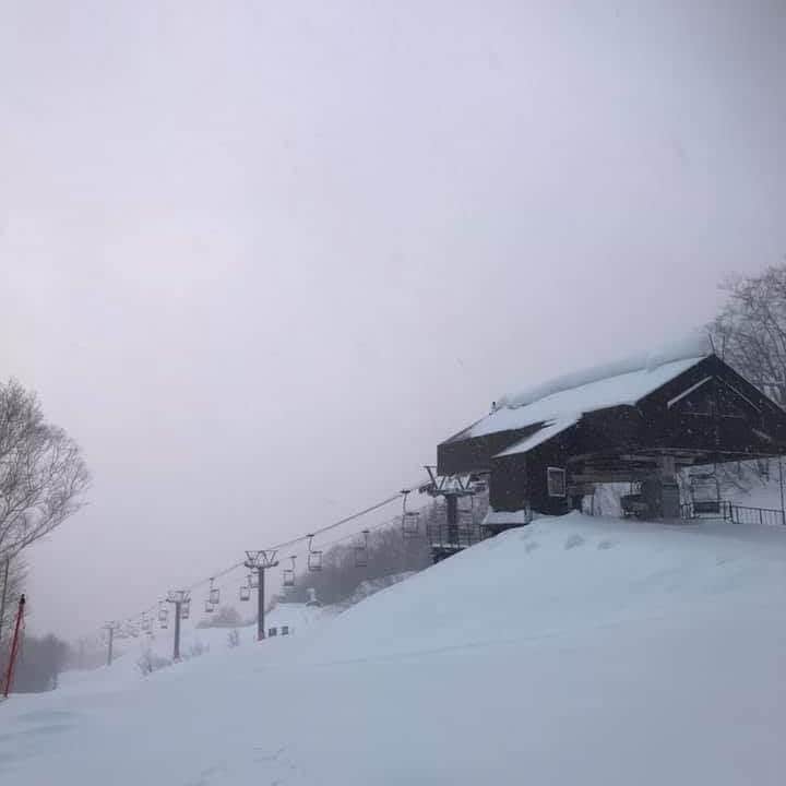 栂池高原スキー場さんのインスタグラム写真 - (栂池高原スキー場Instagram)「おはようございます！TGK早朝レポートです！天候雪、 気温−3℃、風速10m、積雪160㎝です！ 昨夜からの新雪もあります！ Tgparksも営業中です！ #tsugaikekogen  #quiksiver  #TGPARKS  #hakuba #japow」1月31日 8時14分 - tsugaike_kogen