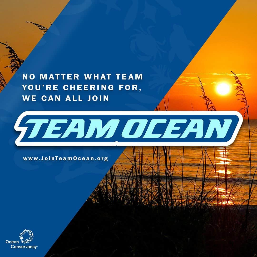 イリザ・シュレシンガーさんのインスタグラム写真 - (イリザ・シュレシンガーInstagram)「No matter what team you’re rooting for in the #SuperBowl, there’s one team we can all support: #TeamOcean! @OceanConservancy is doing game-changing work to protect the wildlife and communities that depend on a healthy ocean, and I’m all in on supporting them. Click the link in @OceanConservancy’s bio to find out how YOU can join #TeamOcean, too!」1月31日 9時07分 - ilizas