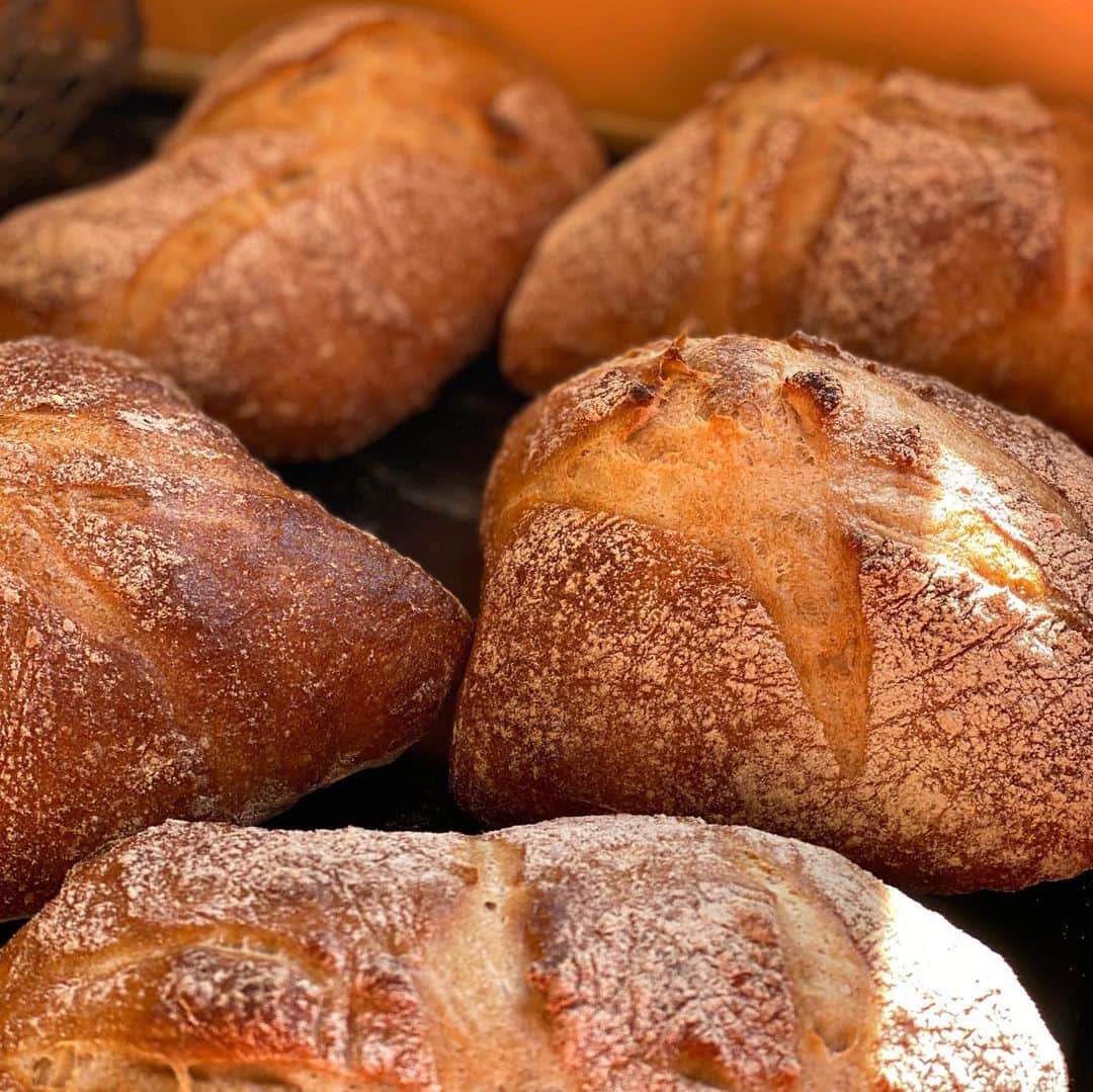 魔女菅原のグルメインスタ