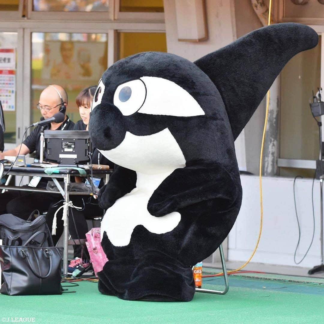 のインスタグラム：「じっとお座りするグランパスくん🥰﻿ ﻿ 【Ｊリーグ時差スタグラム📸】﻿ マスコット総選挙2連覇中の #グランパスくん🏆✨﻿ 今年のセンターは誰のものに⁉️﻿ ﻿ ﻿ Ｊリーグマスコット総選挙2020の投票は﻿ 📅1月31日 🕕18時まで‼️﻿ ﻿ ﻿ 皆さん、お気に入りのマスコットに﻿ どしどし投票してください✨﻿ ﻿ #Ｊリーグ ﻿ #jleague﻿ #Ｊリーグ開幕﻿ ﻿ #名古屋グランパス #grampus #❤️ #💛﻿ #Ｊマスコット #マスコット﻿ #かわいい #可愛い #cute﻿ #もふもふ #ふわふわ﻿ #総選挙 #選挙﻿ #投票 #投票方法 #センター﻿ #時差スタグラム #時差投稿﻿ #じさすたぐらむ ﻿ #オフショット #offshot #📸」