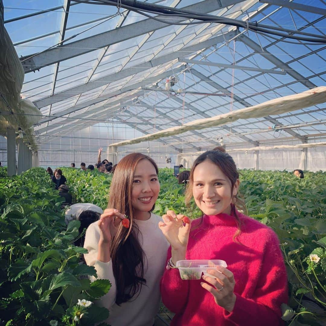 瀬間友里加さんのインスタグラム写真 - (瀬間友里加Instagram)「1月の思い出❤️いちご狩り🍓に中華街も行けて仲良しさん達にも会えました❤️テニス観戦もたくさんできて🙆‍♀️🎾 早く暖かくならないかなぁ#今年はいっぱい本を読む#hermes #スカーフお気に入り#母とランチ#memoryofjanuary」1月31日 10時26分 - yurika.sema