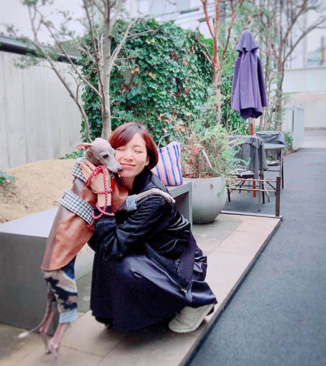 簑島宏美さんのインスタグラム写真 - (簑島宏美Instagram)「* ******** Have a secret talk between us. * 1月とは思えない暖かさだった本日の大分県🌸☺️ 👶の検診に行ってからハウルとお散歩へ。 お散歩中に寄った八百屋さんでは🍓をサービスしていただいて、帰り道に声をかけて下さったよしたけのシェフにはチョコレートを頂いてしまいました😭✨ 暖かい日に、更に温かいお心遣いを頂いて、心もポカポカな1日でした🙇‍♀️💓 そして本日のハウルとの密談は、多めにもらった🍓は誰のものか…です🤣 * ******** #イタグレ#イタリアングレーハウンド#italiangreyhound#dogstagram#イタグレとの暮らし#iggysofinstagram#iggygram #iggylove#iggylife#犬のいる暮らし#イタグレ服#iggysoftheworld #iggysofinstagram #dogsofig #dogsofinstagram #プチプラコーデ #犬好きな人と繋がりたい#オシャレさんと繋がりたい#犬服ハンドメイド#リンクコーデ#おんせん県おおいた#マタニティ#プレママ#妊娠後期」1月7日 18時20分 - hiromiminoshima