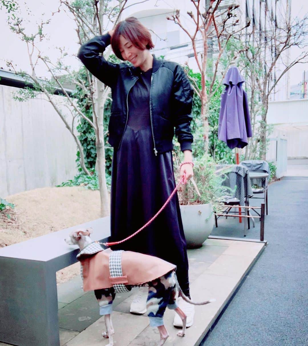 簑島宏美さんのインスタグラム写真 - (簑島宏美Instagram)「* ******** Have a secret talk between us. * 1月とは思えない暖かさだった本日の大分県🌸☺️ 👶の検診に行ってからハウルとお散歩へ。 お散歩中に寄った八百屋さんでは🍓をサービスしていただいて、帰り道に声をかけて下さったよしたけのシェフにはチョコレートを頂いてしまいました😭✨ 暖かい日に、更に温かいお心遣いを頂いて、心もポカポカな1日でした🙇‍♀️💓 そして本日のハウルとの密談は、多めにもらった🍓は誰のものか…です🤣 * ******** #イタグレ#イタリアングレーハウンド#italiangreyhound#dogstagram#イタグレとの暮らし#iggysofinstagram#iggygram #iggylove#iggylife#犬のいる暮らし#イタグレ服#iggysoftheworld #iggysofinstagram #dogsofig #dogsofinstagram #プチプラコーデ #犬好きな人と繋がりたい#オシャレさんと繋がりたい#犬服ハンドメイド#リンクコーデ#おんせん県おおいた#マタニティ#プレママ#妊娠後期」1月7日 18時20分 - hiromiminoshima