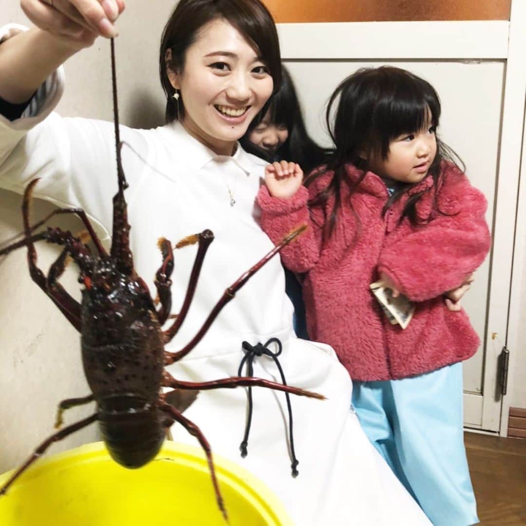尾崎ななみさんのインスタグラム写真 - (尾崎ななみInstagram)「❁︎ ㅤㅤㅤㅤㅤㅤㅤㅤㅤㅤㅤㅤㅤㅤㅤㅤㅤㅤㅤㅤㅤㅤㅤㅤㅤㅤ ㅤㅤㅤㅤㅤㅤㅤㅤㅤㅤㅤㅤㅤㅤㅤㅤㅤㅤㅤㅤㅤㅤㅤㅤㅤㅤ  今年のお正月は食べさせてもらえた٩( ᐛ )و #伊勢えび ㅤㅤㅤㅤㅤㅤㅤㅤㅤㅤㅤㅤㅤ さっきまで海の中にいたから🦐暴れん坊で、持つのが怖かった… ㅤㅤㅤㅤㅤㅤㅤㅤㅤㅤㅤㅤㅤ チビ達もビビリだから、後ろに隠れる。笑 ㅤㅤㅤㅤㅤㅤㅤㅤㅤㅤㅤㅤㅤ でも大好物だから、えびちょーだいの連続で一瞬で完食。。 大人、ちょっとしか食べれず( •ө• )  ㅤㅤㅤㅤㅤㅤㅤㅤㅤㅤㅤㅤㅤ  海の幸が大好きな志摩っ子♡  ㅤㅤㅤㅤㅤㅤㅤㅤㅤㅤㅤㅤ ㅤㅤㅤㅤㅤㅤㅤㅤㅤㅤㅤ  ㅤㅤㅤㅤㅤㅤㅤㅤㅤㅤㅤㅤㅤ  ㅤㅤㅤㅤㅤㅤㅤㅤㅤ ㅤㅤㅤㅤㅤㅤㅤㅤㅤㅤㅤㅤㅤ ㅤㅤㅤㅤㅤㅤㅤㅤㅤㅤㅤㅤㅤ ㅤㅤㅤㅤㅤㅤㅤㅤㅤㅤㅤㅤㅤ ----*----*----*----*----*----*----*----* #日本#三重#伊勢志摩#志摩市#伊勢海老#正月#思い出#家族#尾崎ななみ#伊勢志摩アンバサダー#japan#mie#iseshima#shimastagram」1月7日 19時02分 - nanami_ozaki_73