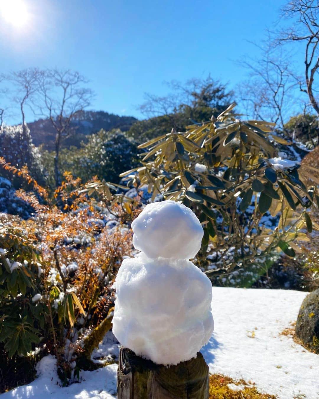 岡部あゆみさんのインスタグラム写真 - (岡部あゆみInstagram)「かわい子ちゃん発見⛄️❄️」1月7日 19時07分 - ayumi_okabe