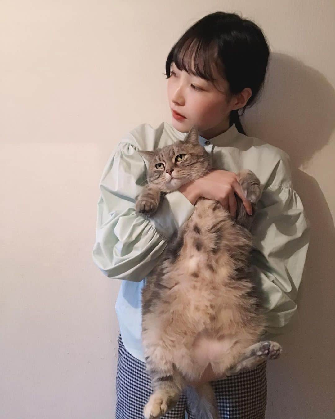 真山朔のインスタグラム：「5分も抱っこできない🐈 腕鍛える💪」