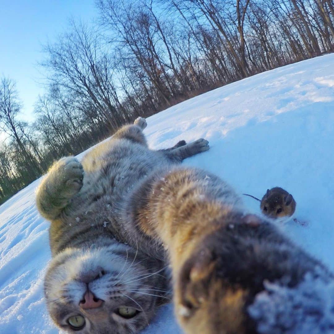 マニーのインスタグラム：「Off that Tom & Jerry, cuh.. 😹」