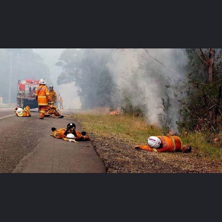 シェマー・ムーアさんのインスタグラム写真 - (シェマー・ムーアInstagram)「To my Australian Fans n Baby Girls.... These photos speak a thousand heartbreaking words... I’m sending my thoughts and prayers to you all during this catastrophic and hard time.... and to ALL of my FANS... if you would like to donate in any way here are some links to help: - www.rfs.nsw.gov.au - www.cfa.vic.gov.au - www.givit.org.au - www.cfsfoundation.org.au - www.redcross.org.au - www.koalahospital.org.au . . And to my friends Tamika, Carlyle and MAX @senor_maxi who lives out there.. Stay safe my friends!!! 🧡 . Much Love 🧡 Shemar」1月7日 12時21分 - shemarfmoore