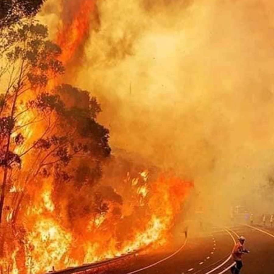 シェマー・ムーアさんのインスタグラム写真 - (シェマー・ムーアInstagram)「To my Australian Fans n Baby Girls.... These photos speak a thousand heartbreaking words... I’m sending my thoughts and prayers to you all during this catastrophic and hard time.... and to ALL of my FANS... if you would like to donate in any way here are some links to help: - www.rfs.nsw.gov.au - www.cfa.vic.gov.au - www.givit.org.au - www.cfsfoundation.org.au - www.redcross.org.au - www.koalahospital.org.au . . And to my friends Tamika, Carlyle and MAX @senor_maxi who lives out there.. Stay safe my friends!!! 🧡 . Much Love 🧡 Shemar」1月7日 12時21分 - shemarfmoore