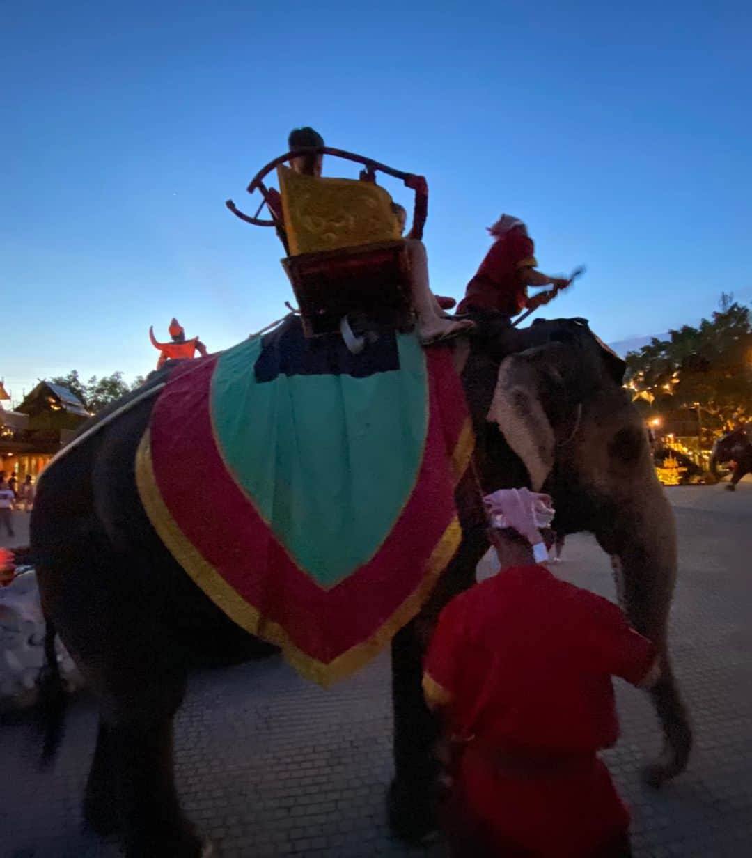 野田彩加さんのインスタグラム写真 - (野田彩加Instagram)「🐘！！！ 歩いてたら普通に🐘も歩いてるからビックリ😮 #elephant #🐘　#phuket #phuketfantasea」1月7日 12時16分 - aya.205