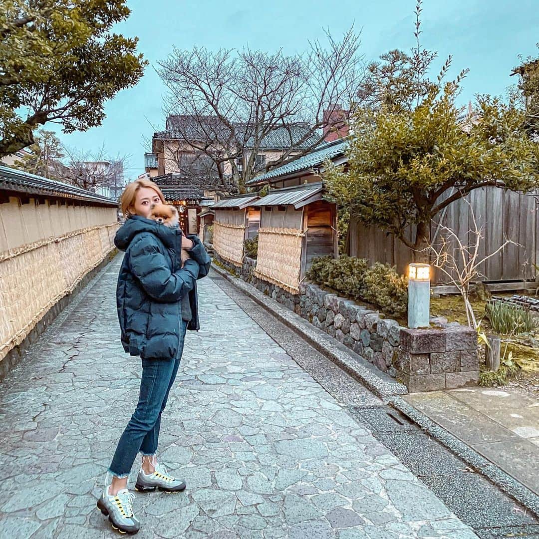 のインスタグラム：「このあと金沢観光しようと思ってたけどもんたんの体調が悪くなっちゃったから観光はやめて帰宅することに🚗. . . . 変なおやつのせいでお腹を壊してしまったみたい😕. . . またゆっくり金沢行きたいなー😋. . . 日本国内って全然行ったことないところばっかだからこれからせめて行きたいな🇯🇵. . . #金沢観光#金沢旅行#もんじゃもう元気です#もんじゃ食いしん坊復活#今日のもんじゃ#石川県#石川観光」