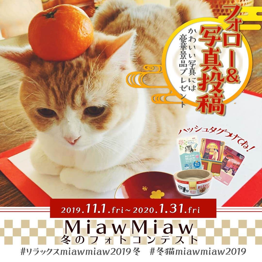 MiawMiawさんのインスタグラム写真 - (MiawMiawInstagram)「＼MiawMiaw　冬のフォトコンテスト　開催中！／⁣ 冬の猫ちゃんの素敵なフォトを大募集！🌞💕⁣ ⁣ 皆様、新年明けましておめでとうございます☀⁣ 今年もMiawMiawをどうぞよろしくお願いいたします✨⁣ ⁣ MiawMiawはただいまフォトコンテストを開催中♪⁣ 自慢の猫ちゃんを投稿して豪華賞品をGET😻⁣ ⁣ 皆さまのご参加をお待ちしております🐈⁣ ⁣ ＜参加方法＞⁣ ① @miawmiaw_series (ミャウミャウ公式アカウント)をフォロー⁣ ② 応募テーマに合ったお写真を撮影する（過去に撮影したお写真の投稿も可)⁣ ③ 下記のフォトコン専用ハッシュタグの中から、一つ選んで投稿する（複数応募・複数枚投稿可）⁣ ※キャンペーン期間外(過去投稿)の投稿に応募ハッシュタグを付けた場合はキャンペーンの応募対象外とさせていただきます。ご了承ください。⁣ ※並行して開催中のフォトコンテストへ同時にご応募いただくことも可能です。⁣ ⁣ ＜フォトコン専用ハッシュタグ＞⁣ ①～②のいずれかの応募テーマを選択し、指定のハッシュタグを付けて投稿してください♪⁣ 【①猫ちゃんのリラックスしているフォト】⁣ #リラックスmiawmiaw2019冬⁣ ※「2019冬」を付けていただかないと今回の応募の対象になりませんのでご注意ください。⁣ ⁣ ⁣ 【②猫ちゃんと冬にちなんだフォト】⁣ #冬猫miawmiaw2019⁣ ⁣ フォトコンテスト期間中、指定のハッシュタグでご参加いただいている方を、⁣ 当アカウントでご紹介させていただくこともございます😻⁣ ⁣ ＜募集期間＞⁣ 2019年11月1日(金)～2020年1月31日(金)23:59まで⁣ ⁣ ＜賞品＞⁣ 大賞✨（2名さま ※各ハッシュタグ×1名さまずつ）投稿フォト入りオリジナル爪とぎ＋MiawMiaw商品詰め合わせ⁣ 金賞✨（6名さま ※各ハッシュタグ×3名さまずつ）オリジナルQUOカード2枚セット（800円分）＋MiawMiaw商品詰め合わせ⁣ 銀賞✨（10名さま ※各ハッシュタグ×5名さまずつ）MiawMiaw商品詰め合わせ⁣ ※賞品の画像はイメージです。変更になる場合がございます。⁣ ⁣ ＜入選者様へのご連絡＞⁣ 入選者発表は2⽉下旬を予定しております。⁣ 入選者の⽅には Instagram上のDMにてご連絡致します。⁣ ⁣ ＜ご注意＞⁣ ＊本キャンペーンにご参加いただくことにより、本募集要項に同意いただいたものとみなします（未成年の方については、親権者に同意いただいたものとみなします）。⁣ ＊選考時に、アカウントフォロー及び指定のハッシュタグ投稿を継続いただいていることが確認できない場合、選考の対象から外れることがあります。フォトコンテスト終了からおおむね1か月程度、参加条件に達する状態を継続いただくことをお勧めします。⁣ ＊アカウントを非公開設定にしている場合は選考対象外となります。⁣ ＊再選考は行いません。⁣ ＊入選者は、配送の都合で日本国内にお住まいの方に限らせていただきます。⁣ ＊企業アカウントからのご応募は選考対象外となります。⁣ ＊賞品の返品・交換はできませんのでご了承くださいませ。⁣ ＊賞品の転売は禁止させていただきます。⁣ ＊通信環境の問題でDMが不着となった場合、又はご当選通知のDMに記載の手続きを履行いただけない場合、ご入選の資格は無効となります。⁣ ＊賞品画像はイメージとなります。⁣ ＊本キャンペーン参加にあたって生じるインターネット接続料や通信料、当選連絡DMに記載の手続を履践するにあたって生じる諸費用は、ご本人様の負担となります。⁣ ＊本キャンペーンで投稿いただいた写真や動画は、当社公式Instagramアカウントにてご紹介させていただく場合がございます。なお、このご紹介は選考結果とは関係がありません。⁣ ⁣ たくさんのご応募お待ちしております！⁣ ⁣ #miawmiaw #ミャウミャウ⁣ #令和miawmiaw #冬猫miawmiaw2019 #リラックスmiawmiaw2019冬 #フォトコンテスト #コンテスト #プレゼント企画 #プレゼント #プレゼントキャンペーン #キャンペーン開催中 #キャンペーン #ねこのいる生活 #ねこばか #ネコ好き #猫 #ねこ #ネコ #にゃんこ #猫部 #ねこ部 #キャットフード #猫好きさんと繋がりたい #猫好き #にゃんこ部 #にゃんすたぐらむ #ねこすたぐらむ #にゃー #正月⁣」1月7日 12時39分 - miawmiaw_series