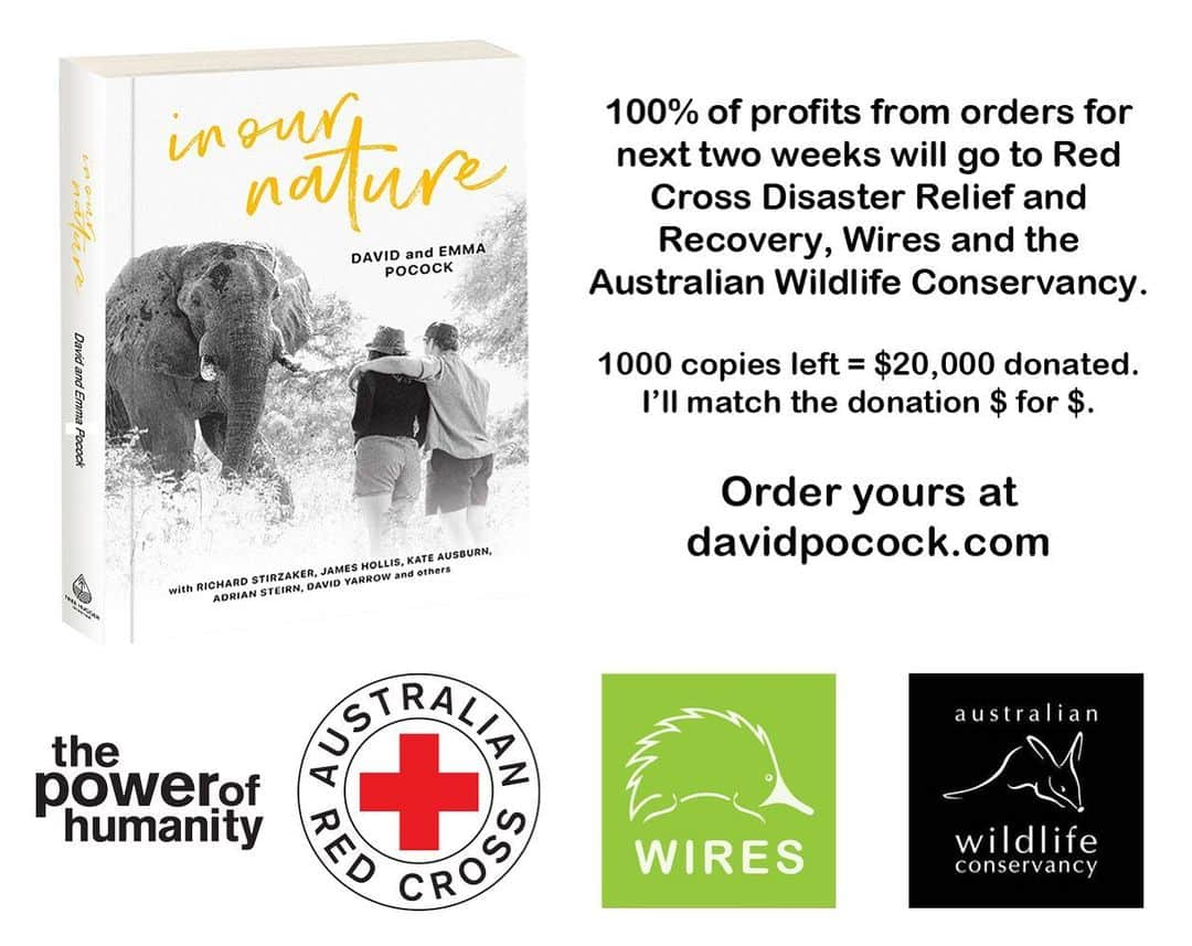 デビッド・ポーコックさんのインスタグラム写真 - (デビッド・ポーコックInstagram)「100% of profits from orders for the next two weeks will go to @redcrossau, @wireswildliferescue and @australianwildlifeconservancy.  You can order your copy on my website - link in bio.  Please tag anyone you think might want a copy.  Limited print run. Once these are gone, that’s it.  #Australiabushfire」1月7日 12時59分 - davidpocock