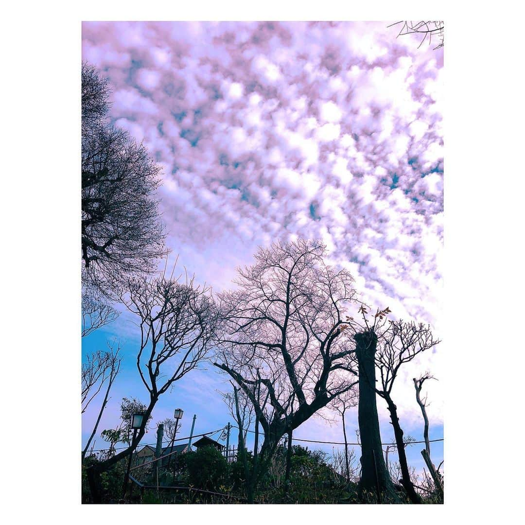 理絵さんのインスタグラム写真 - (理絵Instagram)「寒いねー🥶しもやけ治らないよ  #sky #cielo #하늘 #空 #神社 #shrine  #tokyo #japan」1月7日 13時06分 - ____rie____