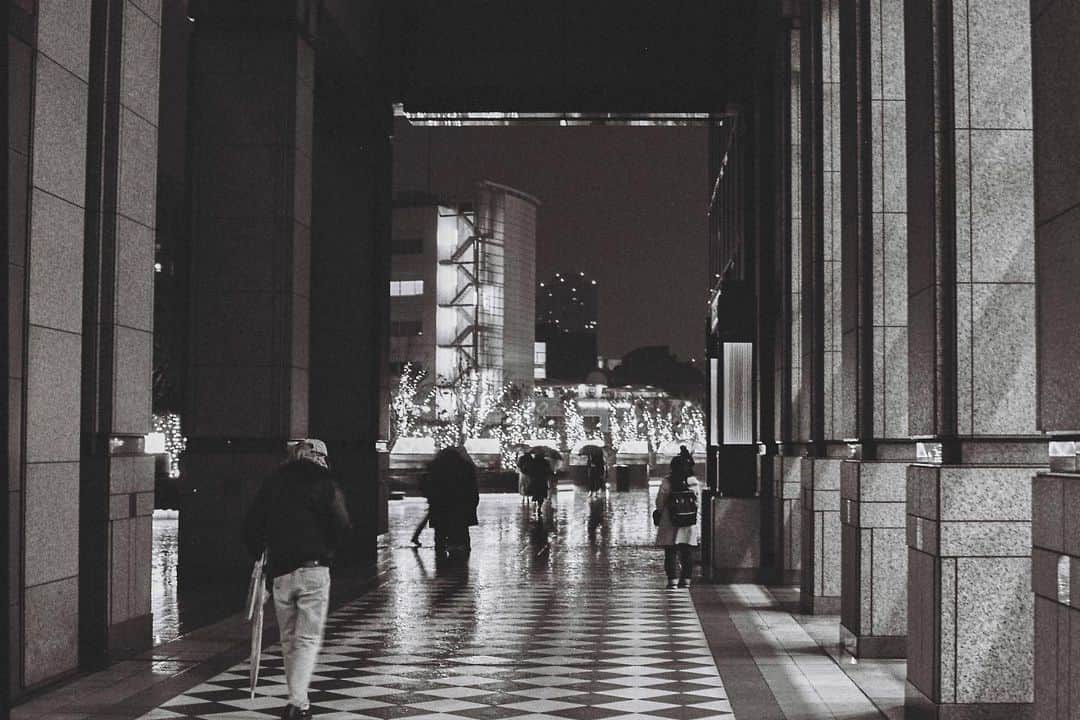 田島貴男さんのインスタグラム写真 - (田島貴男Instagram)「12月 #フィルムカメラ #nikonf #autonikkor55mmf12  #trix400」1月7日 13時36分 - tajimatakao