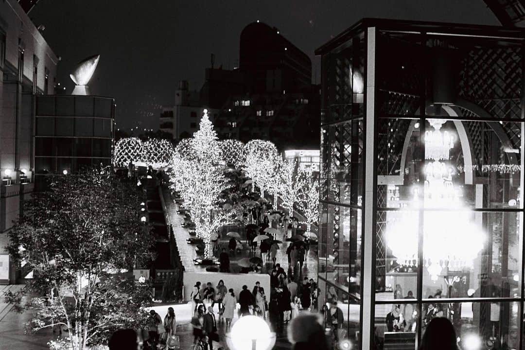 のインスタグラム：「12月 #フィルムカメラ #nikonf #autonikkor55mmf12  #trix400」