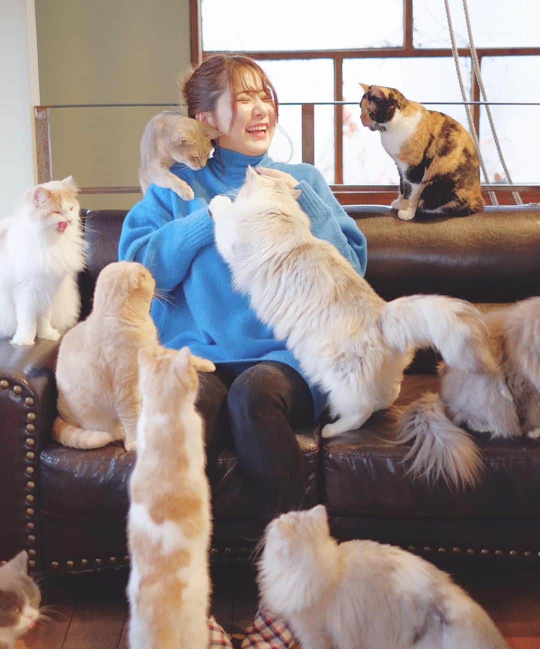 石橋あこのグルメインスタ