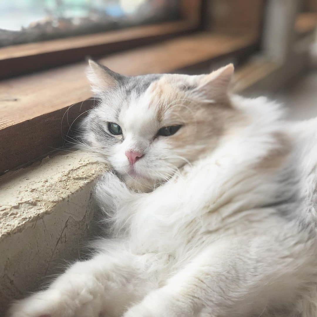 石橋あこのグルメインスタ