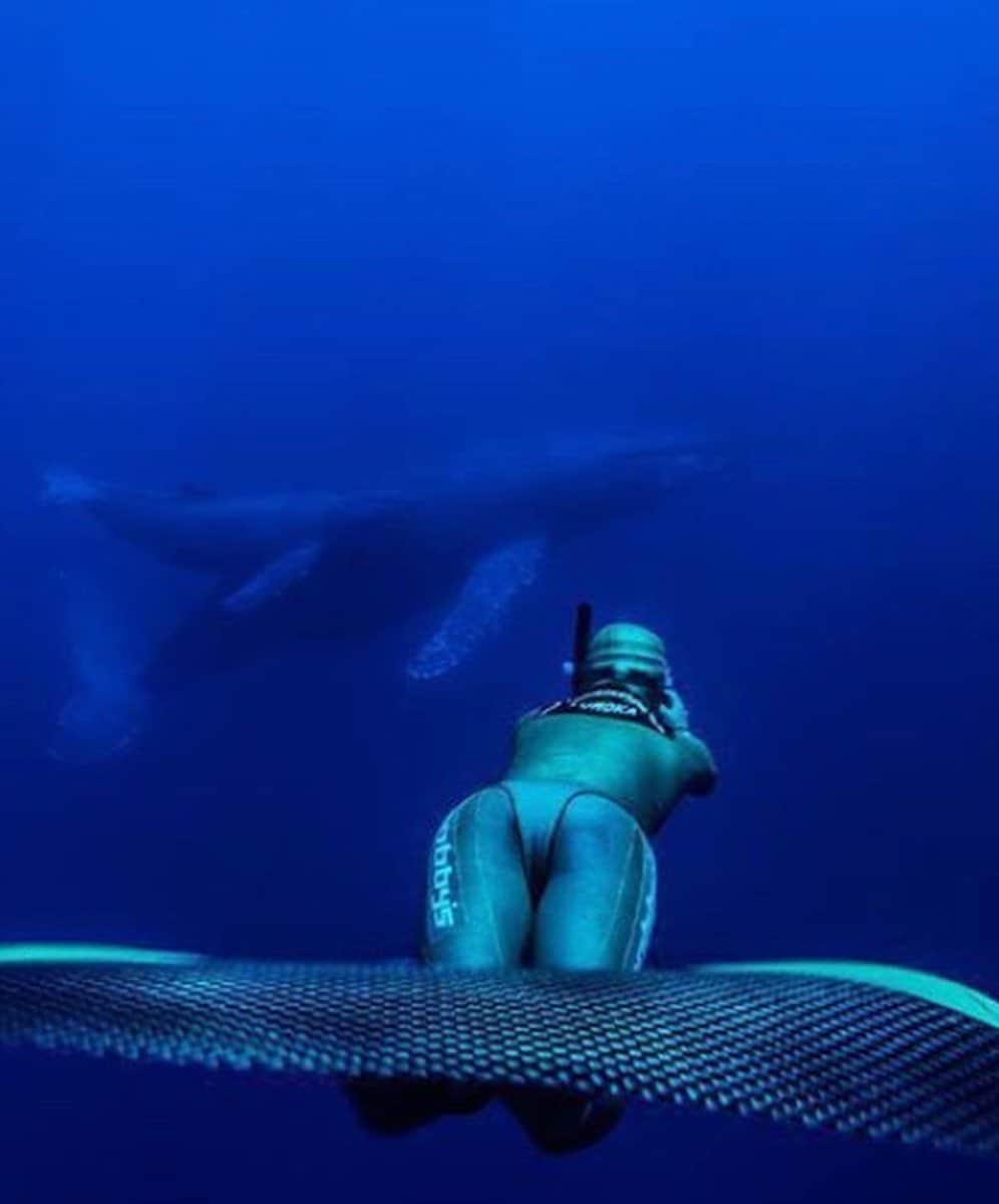 福田朋夏さんのインスタグラム写真 - (福田朋夏Instagram)「3/2-3/5に、奄美大島でスキンダイビングレッスンとホエールスイムを行います🐳 皆さんは鯨と泳いだ事はありますか？ 大くて優しい鯨と泳ぐと、何て人間って小さいんだろうって改めて感じさせてくれます✨🙏本当に人生観が変わります。 クジラと泳げる機会はそうそうないので、ぜひ一緒に経験してみませんか？ クジラ達と泳ぐ前に、スキンダイビングレッスンもします🐳✨🧜🏻‍♀️ 是非是非ご参加下さいね！ お申し込み、お問い合わせはこちらまでお願いします↓💙 ダイビングショップトゥルーノース 📞047-304-8915 📩info@truenorth .jp @diveshop_truenorth」1月7日 15時41分 - tomoka_fukuda