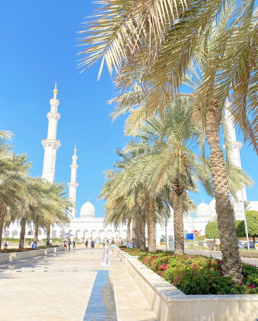 井上晃子さんのインスタグラム写真 - (井上晃子Instagram)「Sheikh Zayed Grand Mosque 🕌✨ 世界最大のペルシャ絨毯(色使いがとてもタイプ)やスワロフスキーのシャンデリア、 細かな装飾、可愛い丸みを帯びたシルエット、それを映す陰まで可愛くてたまらなかった。💎💎💎 美しいものに触れて良き時間。 . . #sheikhzayedmosque  #シェイクザイードグランドモスク  #abudhabi#アブダビ#uae#habibi」1月7日 15時43分 - akiki_2015