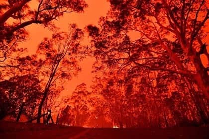 伊藤沙織さんのインスタグラム写真 - (伊藤沙織Instagram)「普段こういった投稿はあまりしないのですが、思う事があるのでこちらで失礼します。 昨日ストーリーにもアップしましたが、オーストラリア森林火災が深刻な状況です。 ニュースではほとんど放送されないので少しでも多くの方に知って頂けますように... 5億匹近い動物たちが亡くなっており、コアラは1/3が犠牲になりました。動物達だけでなく、人間も亡くなったり、健康被害を及ぼしています。  一刻も早く被害が収まることを願うと共に、一人でも多くの方の募金をお願いします。 募金が難しければ、このオーストラリア火災についてシェアして頂くだけでもかまいません。  わたしのストーリーに募金が出来るリンクを貼ってあります。【DONATED NOW】をクリックして頂ければ、募金ページに進みます。  ワーホリでメルボルンに半年だけでしたが滞在し、大好きな国なので見過ごす事が出来ません。素晴らしい自然、可愛い動物たち、現地に住む方の被害が心配です。  １つでも多くの命が救われますように。 . . I posted of links in my stories where you can make donations to fight fires in Australia.  If you don’t donate, please share, speak out, relay the information, Australia needs your help! . . #prayforaustralia #オーストラリア森林火災　 @redcrossau」1月7日 16時25分 - saori__ito