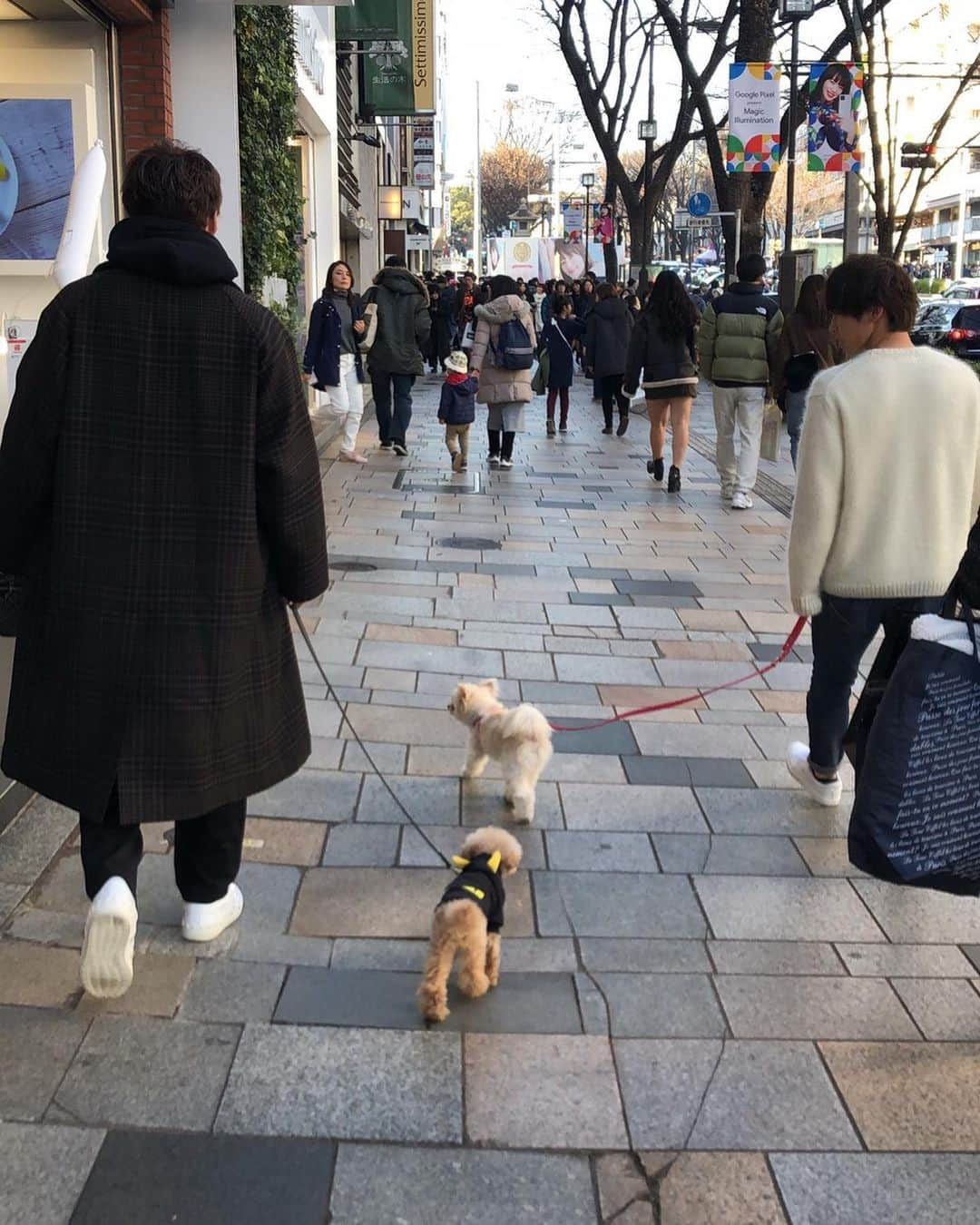 山岸祐也さんのインスタグラム写真 - (山岸祐也Instagram)「明けましておめでとうございます🌅 今年も瀬川と初詣行ってきました！ 朝から行ったから全員眠そう。笑 あとレオが東京デビューした🐶 いい一年になりそうな予感！！！！！！！！！！！！！！ #年越しは瀬川家で #瀬川は年越し30秒前に起きる #俺は年越す瞬間ジャンプした #ミーハー #神社二箇所行ったけど #大吉でなかった #あと何箇所いくことになるだろう #でるまで引くスタイル #今年も宜しくお願いします #モンテディオ山形」1月7日 16時35分 - yuuuuuuya0829