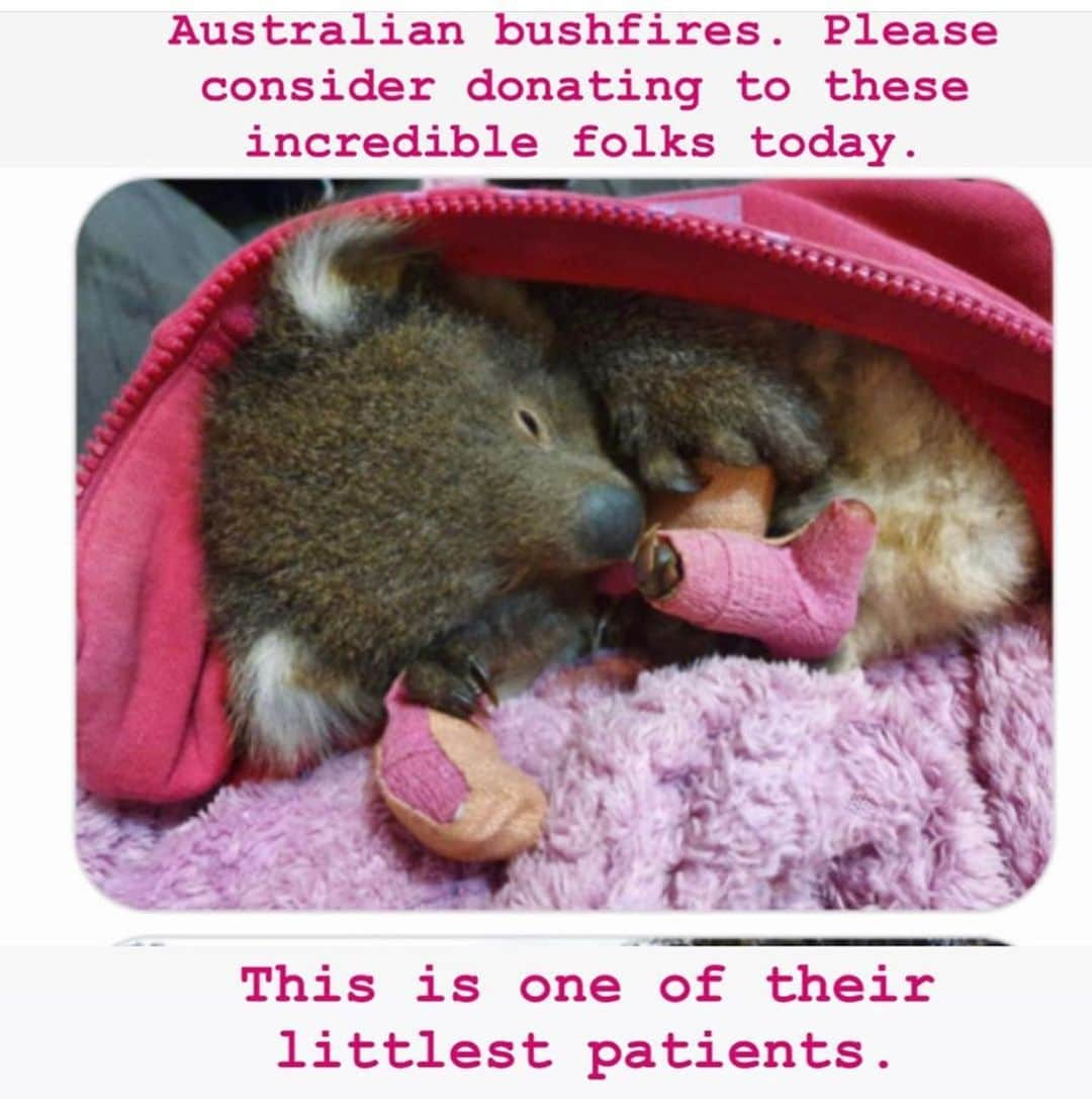 ホーリー・ソンダーズさんのインスタグラム写真 - (ホーリー・ソンダーズInstagram)「Please join us in donating to the folks and animals in Australia if you have the means. So devastating. Money won’t bring back all the lives lost but we can prevent more from being taken and help these poor animals recover. ❤️❤️❤️❤️」1月7日 16時47分 - holly.sonders