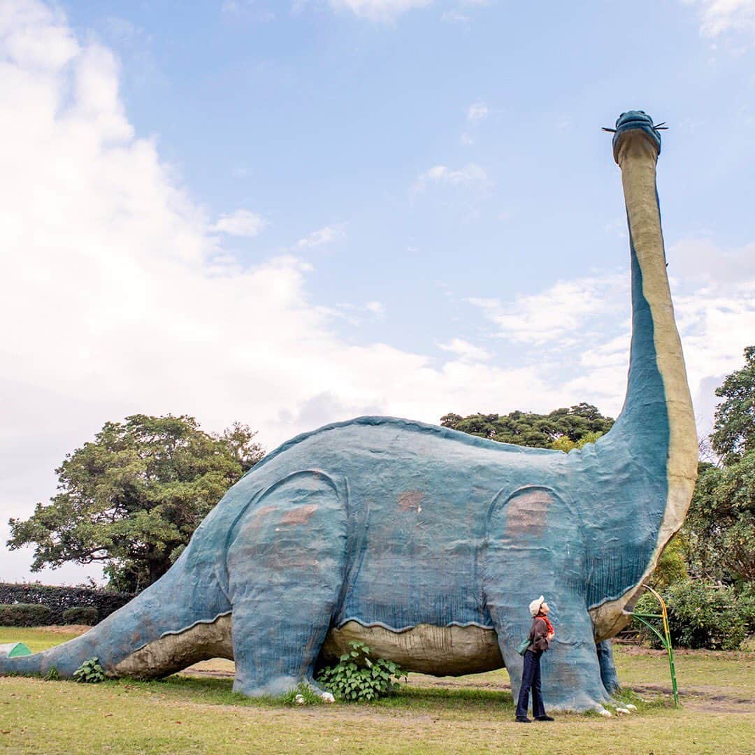 ジェットスター航空さんのインスタグラム写真 - (ジェットスター航空Instagram)「迫力満点‼️ #桜島自然恐竜公園 には実物大の恐竜の遊具がたくさん😄 体の中に入れたり、しっぽがすべり台になっていたりと、子供も大人も楽しめる公園なんでスター✨　ジェットスター「#e旅ブック」第14弾の鹿児島編をお届け中✈️ ・ 鹿児島へは ✈️東京(成田)から片道¥5,990〜 ✈️名古屋(中部)から片道¥3,580〜 ジェットスターなら、成田発の国内線路線数も中部発の路線数もLCCNo.1‼️ ・ #ジェットスター　#jetstar_japan　#jetstar #etabibook　#e旅ブック鹿児島編 #鹿児島 #鹿児島県 #kagoshima #かごしま #鹿児島旅行 #鹿児島観光　#鹿児島写真部 #九州 #九州旅行 #九州ぐらむ #日本　#Japan　#旅　#旅行　#Travel #LCC　#LCC女子旅　#旅したくなるフォト #旅行好きな人と繋がりたい ・ 📷 by @tsukao ・ *運賃はエコノミークラス「Starter」。支払手数料、空港使用料等が別途必要です。受託手荷物の料金は含まれません。諸条件が適用されます。」1月7日 17時00分 - jetstar_japan
