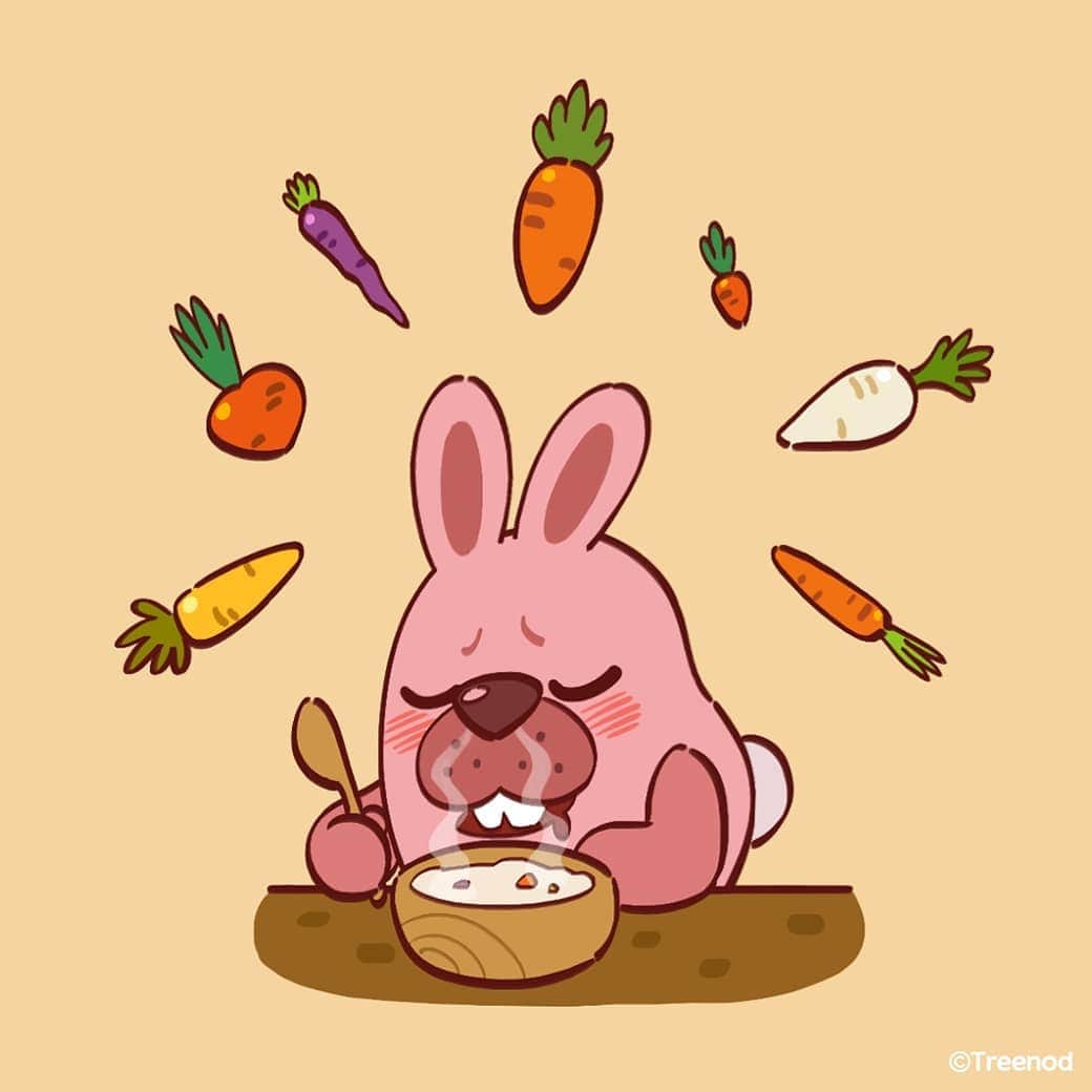 ポコタのインスタグラム