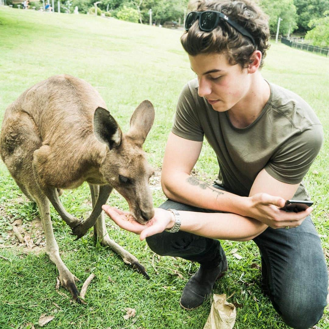 ショーン・メンデスさんのインスタグラム写真 - (ショーン・メンデスInstagram)「Every time I’ve been to Australia I’ve fallen more and more in love with the people & wildlife. Please join me to help support relief efforts for the devastating effects of the Australian wildfires. The @shawnfoundation & I are making donations to benefit the Australian Red Cross Disaster Relief and Recovery Fund & two local organizations - the NSW Rural Fire Service and the South Australian Country Fire Service. Every donation matters - see graphic in my post for more information.」1月8日 3時30分 - shawnmendes