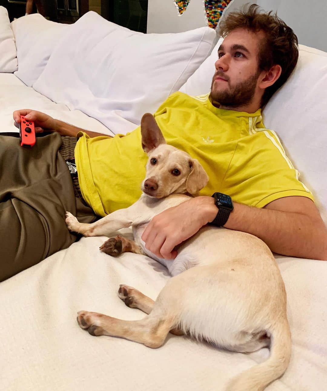 ゼッドのインスタグラム：「hot dog」