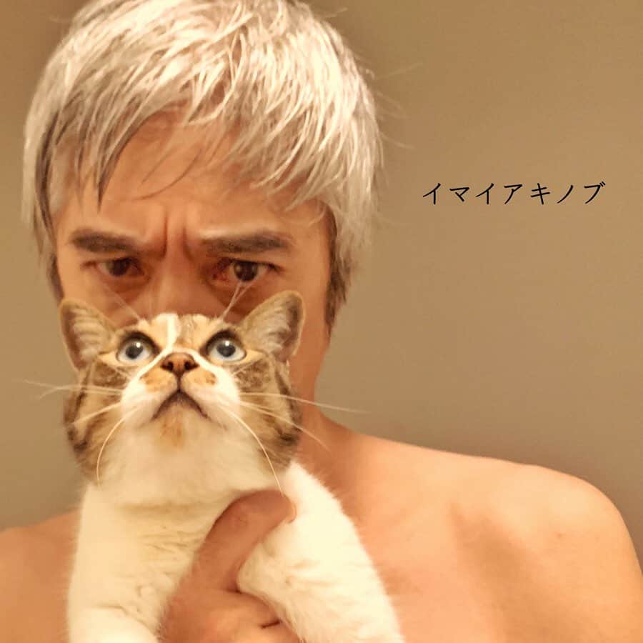 イマイアキノブのインスタグラム