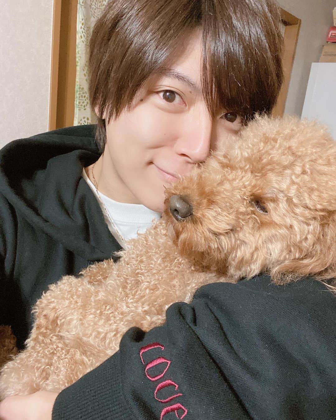 引地敬澄のインスタグラム：「ショコ次郎がとても眠そうな件🐕💤ｽﾔｧ。。。 . . . あああああああああああ！！！ . . . 絶賛可愛過ぎる( ᷇ᴥ ᷆ )🍀 . まじぱおーに過ぎ。 . . . ps.最後の写真の『YES！フォーリンラブ！！』感とても気に入ってる🐕❤️🐕w . . . #お犬はじめ　#2020 #犬のいる暮らし  #KinCrossWorld  #vintage  #fashion #style #JAPAN  #followme  #photooftheday #swag #fit #instacool #데일리록 #옷스타그램 #멋스타그램 #코디 #오오티디  #팔로우  #맞팔 #소통  #선팔  #소통해요  #tagsforlikes #instalike #followmeto  #fashionista  #ootdfashion」