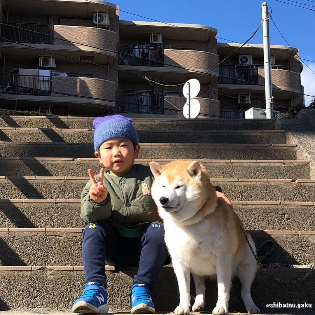 Kazumi-Gakumamaさんのインスタグラム写真 - (Kazumi-GakumamaInstagram)「年明け1/4(土)、2ヶ月ちょい前に散歩中、岳をナンパした⁉︎🤣朔太朗くんと会いました💖 *  今回朔太朗くんは、ママさんと叔母ちゃま、叔父ちゃまを引き連れての再会🐕✨ *  もうすぐ4歳、そして間もなくお兄ちゃんになる朔太朗くん👦 *  サッカー⚽️も上手でビックリ‼️ *  あつし犬も驚いていました😳 *  朔ちゃん、本当に可愛いかったぁ〰️😍 🐾----*----*----*----🐾 Sakutaro-kun and Gaku who became friends two months ago met again🐕👦✨ He is a very charming and smart child🎓 🐾----*----*----*----🐾 #柴犬 #岳 #柴犬岳 #柴犬ガク#gaku #shibainugaku #shiba #shibainu #shibastagram #pecoいぬ部 #ペコいぬ部  #pecotv #いぬすたぐらむ #ふわもこ部 #ワンフルエンサー  #dogsofinstagram #Hermoso #weeklyfluff #🐕📷 #朔太朗くん  #ナンパされた岳 #20200107」1月7日 20時42分 - shibainu.gaku