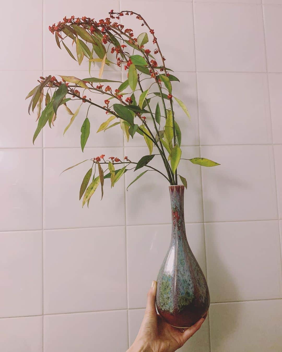 小谷実由さんのインスタグラム写真 - (小谷実由Instagram)「💐 @chiemiwakai_duft 🥛松陰神社のリサイクルショップで買った花瓶 #omiyuhuntingsome」1月7日 21時29分 - omiyuno