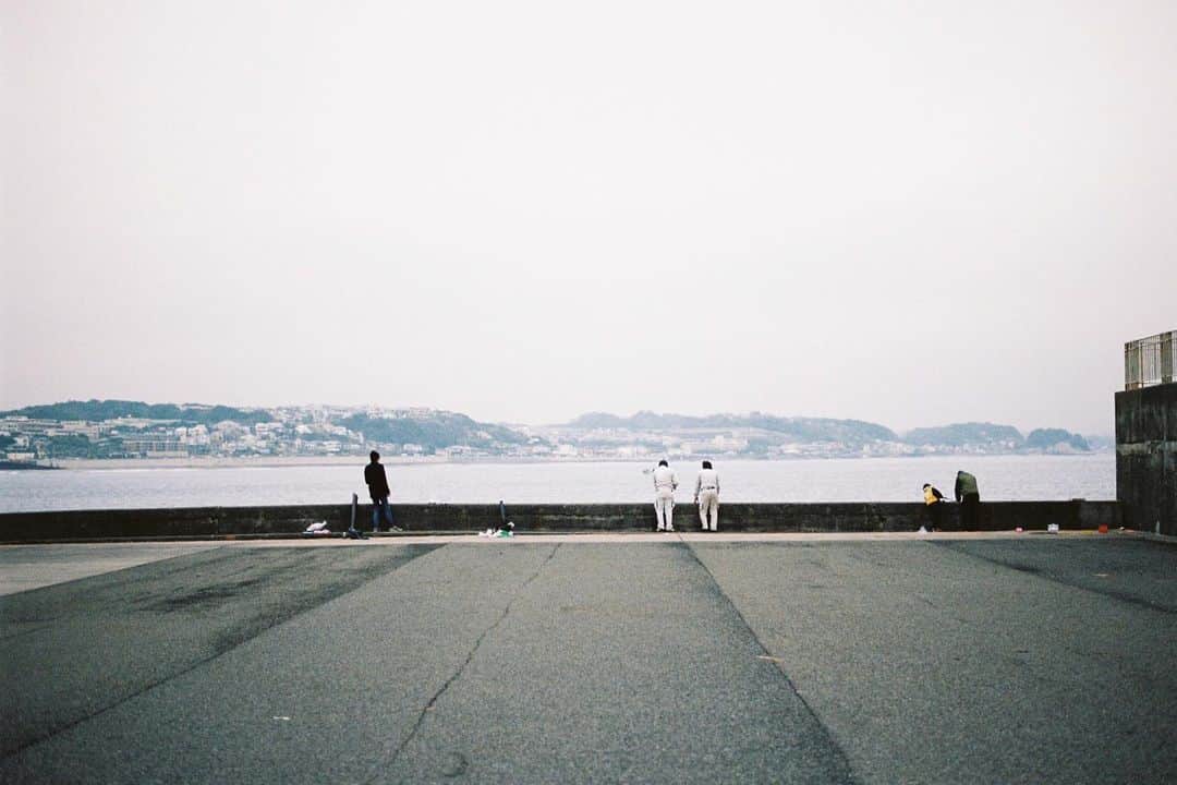 田島貴男さんのインスタグラム写真 - (田島貴男Instagram)「#フィルムカメラ #nikonf100 #nikkor50mm14」1月7日 21時38分 - tajimatakao