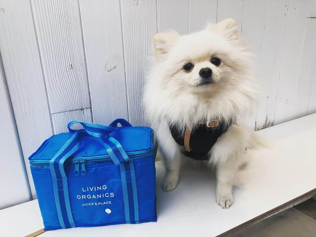 livingorganics juice&place 芦屋のグルメインスタ