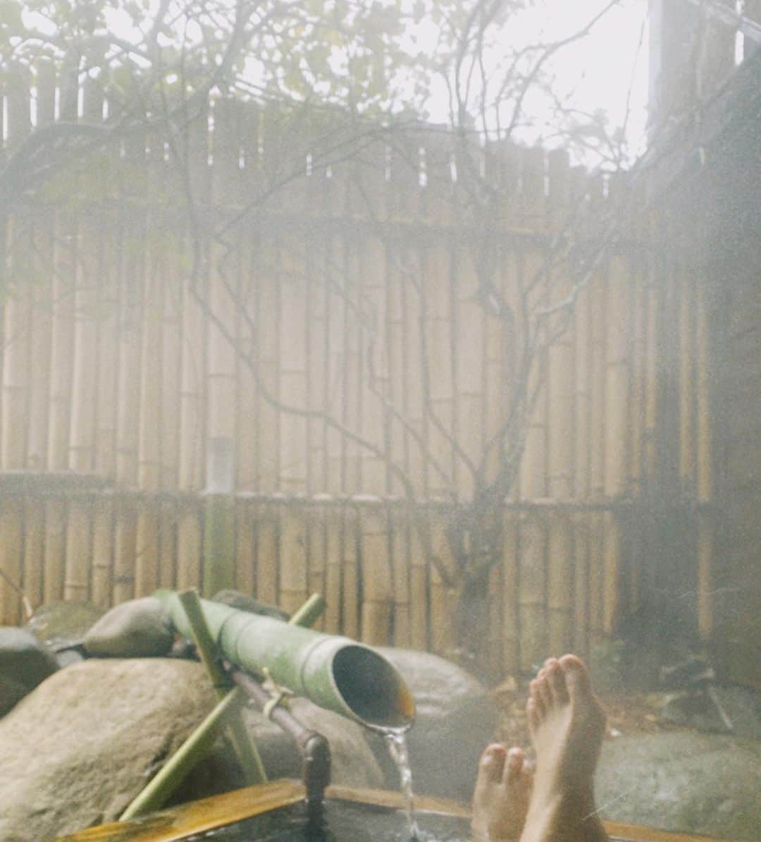 佐々木彩乃さんのインスタグラム写真 - (佐々木彩乃Instagram)「ゆっくり過ごした年末年始は終わりっ。 明日から韓国出張。寒いのでしょうか😱？」1月7日 21時57分 - ayano__sasaki
