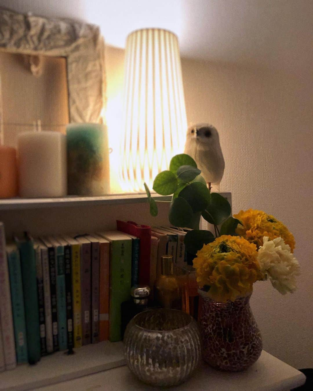 半田麗さんのインスタグラム写真 - (半田麗Instagram)「🦉🌼🌘」1月7日 22時38分 - rei__handa