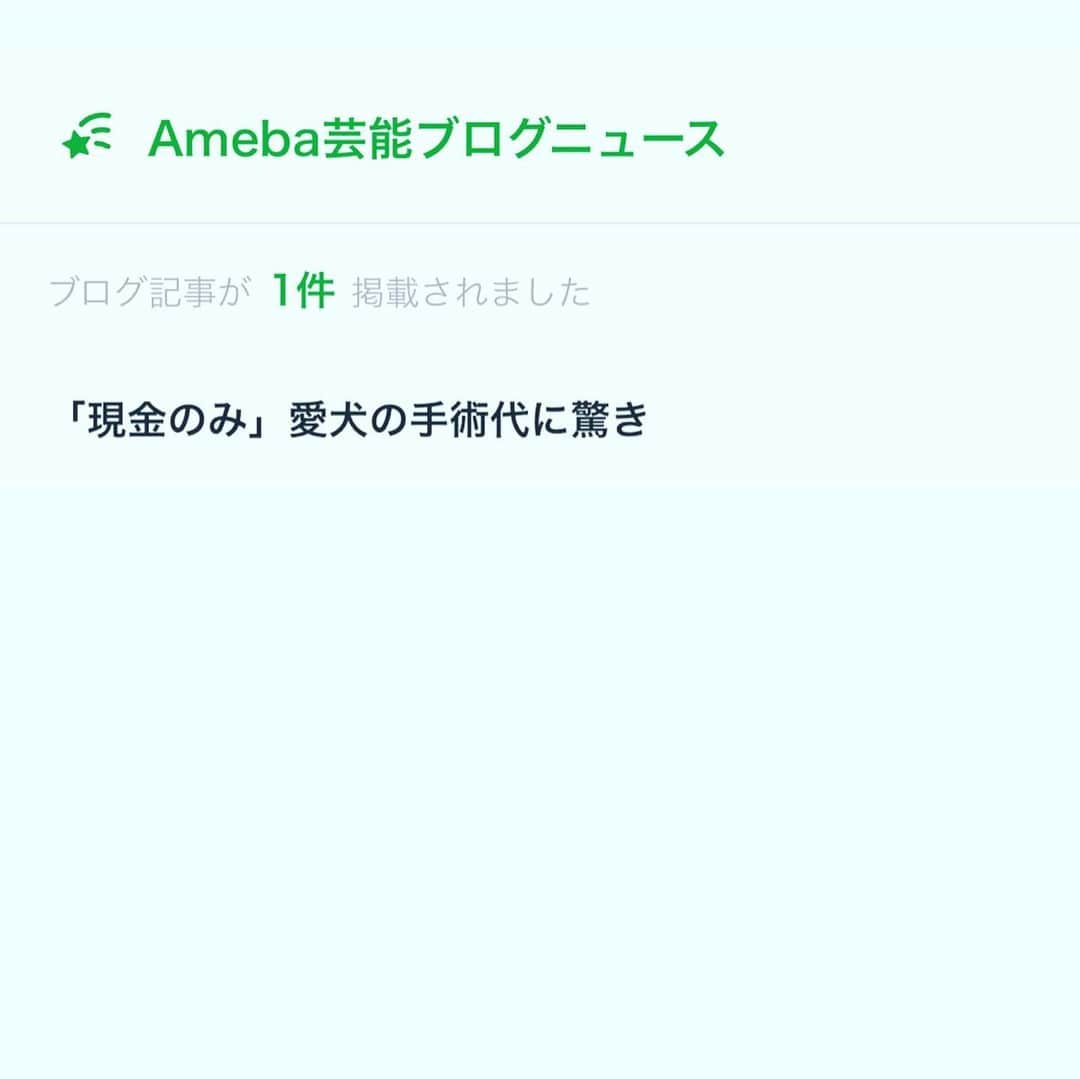 桜花由美さんのインスタグラム写真 - (桜花由美Instagram)「amebloの管理画面を開いたら、昨日のアクセス数が異様に高い。  前の日の10倍。  単位間違えてるんじゃないの？ って思うほど。  そんなに最近面白い事を書いた覚えもないし、何でだろ？  と思って調べたら、ameblo芸能人ブログニュースに、浜子の手術を決心したブログがニュースに載っていた。  しかも 【現金のみ】愛犬の手術代に驚き と言うタイトルで…  運営者の方は内容もちゃんと読んでいるんだと感心したわ。  手術代は現金のみ。  カードはNG。  手術以外はカードが使えるんだけど。  カードの限度額の上限もあるからなんだろうか。  何故かは不明だけど、退院する日に現金握り締めて病院に迎えに行く事になる。  今、ATMでは50万以上は一回じゃ引き落とせない。  めんどくさい時代。  片目のみの手術なので、とりあえず50万円以下だと思う。  退院の前日に金額が分かる。  高額の現金払いってドキドキするよね。  amebloって凄いなぁ。と思う。  前も、2年半前に書いたリチウム電池が爆発した時のブログがトピックに取り上げられてたもん。  爆弾が投げ込まれたって言うブログ↓ https://search.yahoo.co.jp/amp/s/gamp.ameblo.jp/ohka-yumi/entry-12311733115.html%3Fusqp%3Dmq331AQOKAGYAf6gnK7Y_9CkjwE%253D  ちゃんとブログの内容を見てるんだなぁ。と感心しました。  amebloさんいつもありがとうございます！ ‪#wavepro ‬ ‪#女子プロレスラー ‬ ‪#プロレス ‬ ‪#プロレスラー ‬ ‪#女子プロレス‬ ‪#prowrestling‬ ‪#プロレスリングwave‬ #桜花由美 #波ヲタ #ameblo  #アメブロ  #アメブロ芸能人ブログ  #アメブロニュース  #アメブロトピックス  #癒される  #愛犬 #犬 #犬なしでは生きていけません会  #犬なしでは生きていけない  #犬のいる暮らし  #犬のいる生活  #犬とお出かけ  #トイプードル #トイプードルカフェオレ #トイプードル大好き  #トイプードル愛犬  #トイプードル部 #白内障  #白内障わんこ  #白内障犬」1月7日 23時09分 - ohkayumi