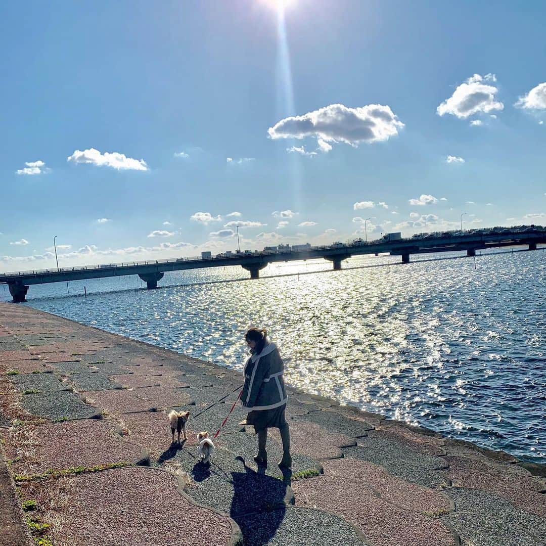 堀尾実咲のインスタグラム：「🐻🐰とのお正月🎍  #愛犬 #おさんぽ #浜名湖」